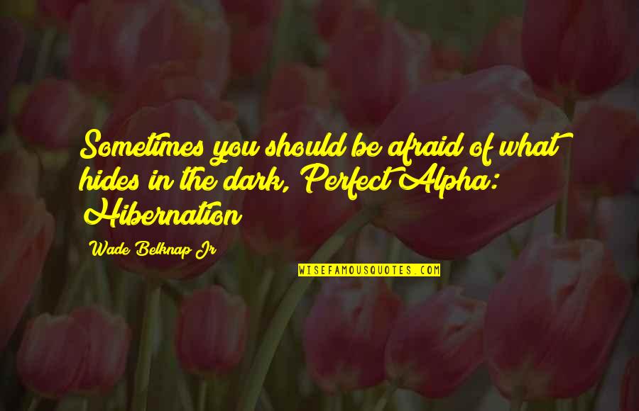 Cute Aesthetic Couple Quotes By Wade Belknap Jr: Sometimes you should be afraid of what hides