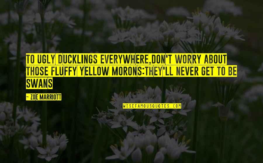 Cute And Funny Inspirational Quotes By Zoe Marriott: To ugly ducklings everywhere,Don't worry about those fluffy