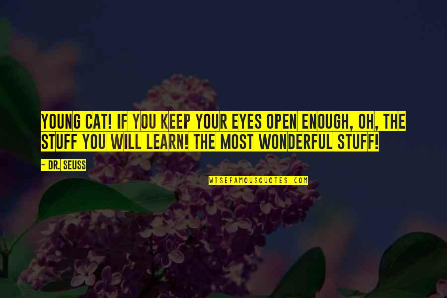 Cute Armenian Quotes By Dr. Seuss: Young cat! If you keep Your eyes open