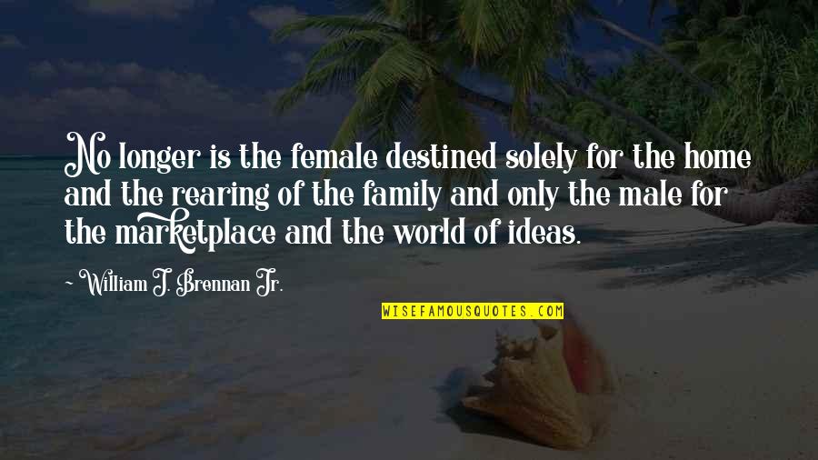 Cute Baker Quotes By William J. Brennan Jr.: No longer is the female destined solely for