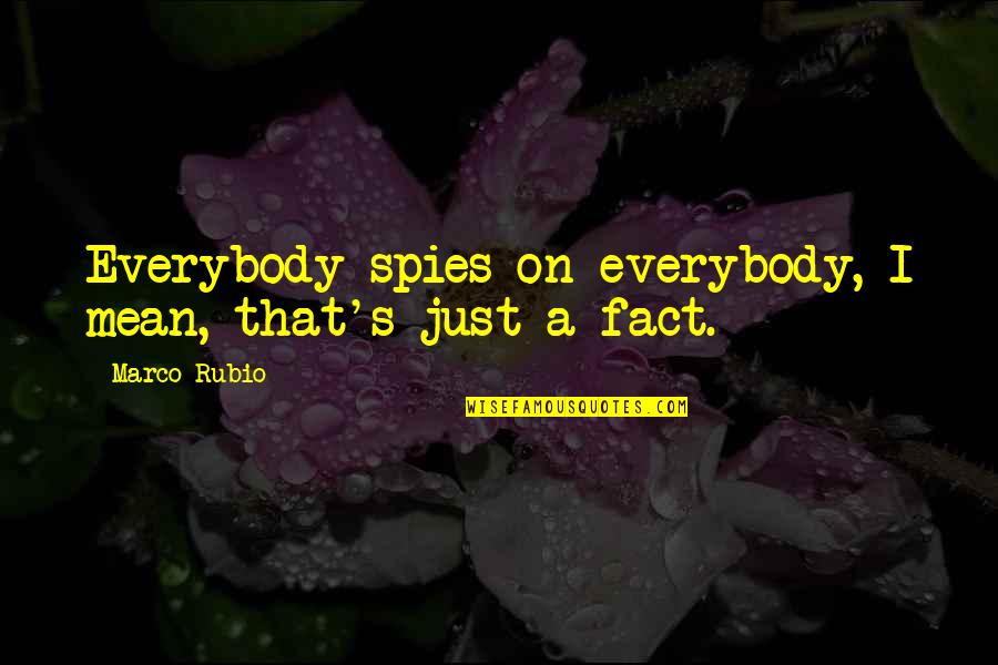 Cute Bats Quotes By Marco Rubio: Everybody spies on everybody, I mean, that's just