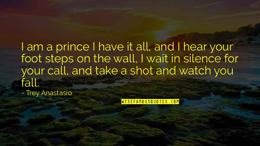 Cute Braid Quotes By Trey Anastasio: I am a prince I have it all,