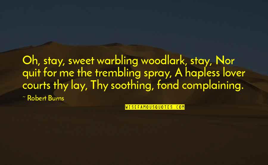 Cute But Not Cheesy Love Quotes By Robert Burns: Oh, stay, sweet warbling woodlark, stay, Nor quit