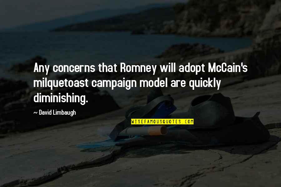Cute Clace Quotes By David Limbaugh: Any concerns that Romney will adopt McCain's milquetoast