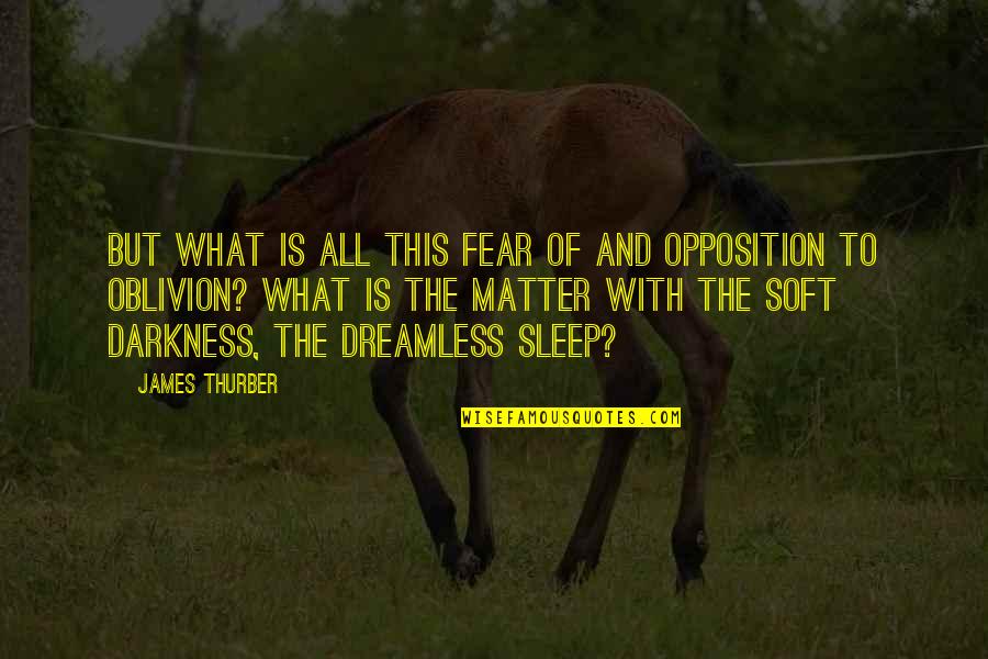 Cute Corrido Quotes By James Thurber: But what is all this fear of and