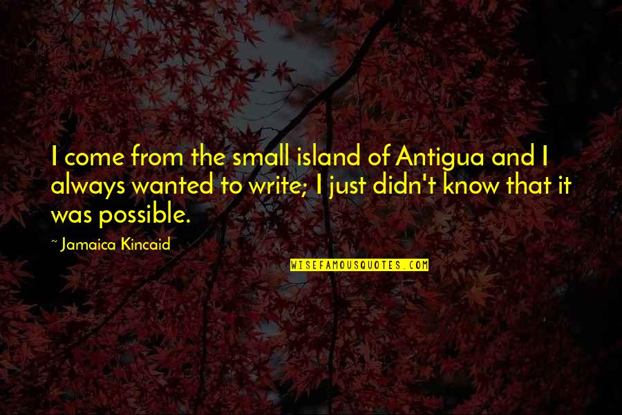 Cute Cousin Quotes By Jamaica Kincaid: I come from the small island of Antigua