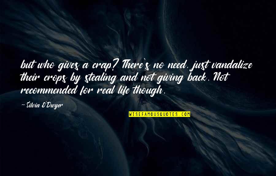 Cute Crushing On Him Quotes By Silvia O'Dwyer: but who gives a crap? There's no need, Cute Crushing On Him Quotes By Silvia O'Dwyer: but who gives a crap? There's no need,