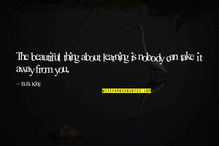 Cute Dragonfly Quotes By B.B. King: The beautiful thing about learning is nobody can