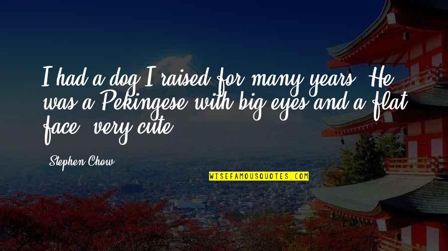 Cute Eyes Quotes By Stephen Chow: I had a dog I raised for many