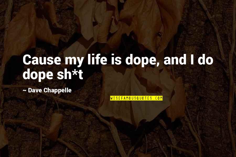 Cute First Time Mom Quotes By Dave Chappelle: Cause my life is dope, and I do