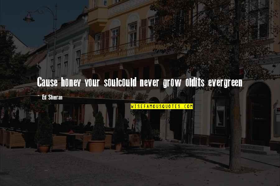 Cute Honey Quotes By Ed Sheeran: Cause honey your soulcould never grow oldits evergreen