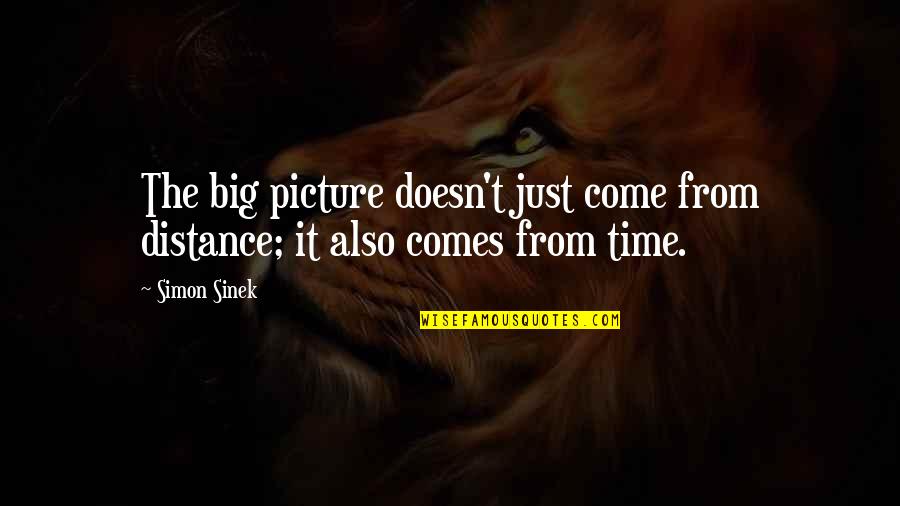 Cute Image Quotes By Simon Sinek: The big picture doesn't just come from distance;