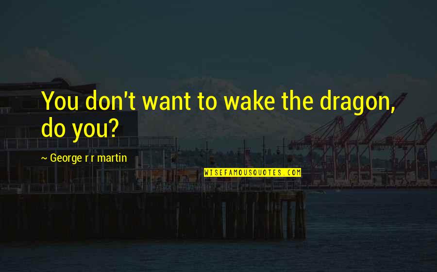 Cute Lame Quotes By George R R Martin: You don't want to wake the dragon, do