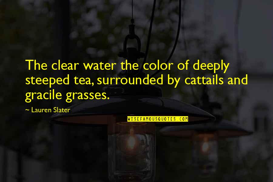 Cute Lame Quotes By Lauren Slater: The clear water the color of deeply steeped