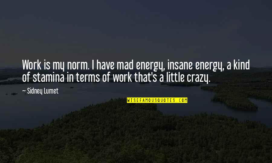 Cute Love My Son Quotes By Sidney Lumet: Work is my norm. I have mad energy,