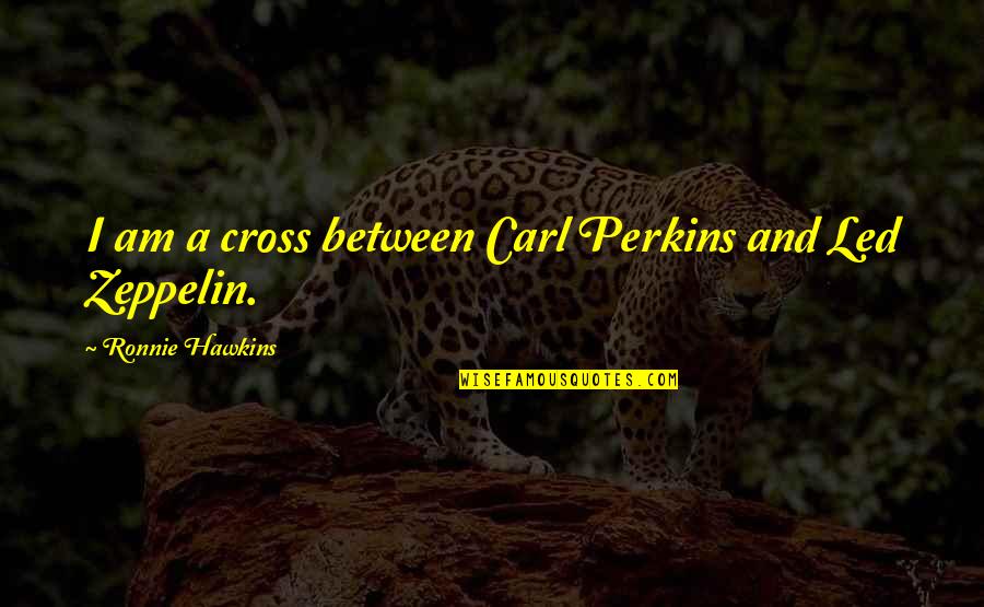 Cute Lovely Good Night Quotes By Ronnie Hawkins: I am a cross between Carl Perkins and