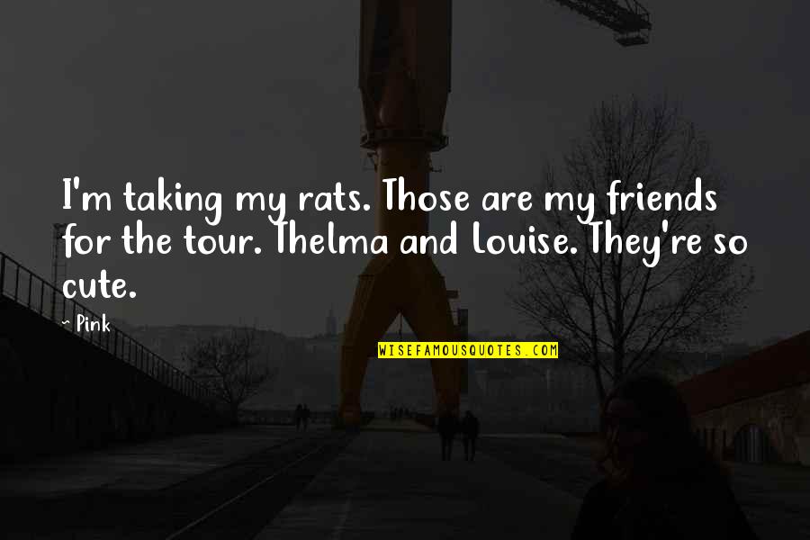 Cute M And M Quotes By Pink: I'm taking my rats. Those are my friends