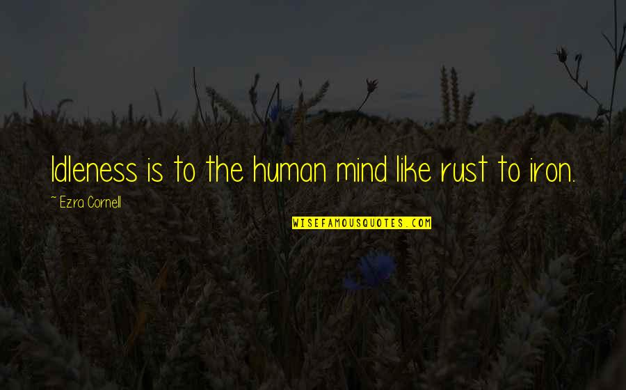 Cute Mink Quotes By Ezra Cornell: Idleness is to the human mind like rust