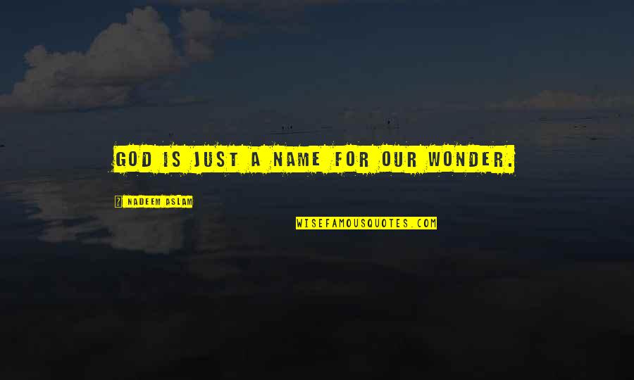 Cute Mudding Quotes By Nadeem Aslam: God is just a name for our wonder.