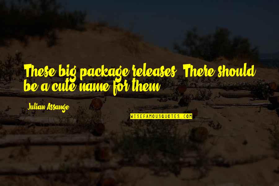Cute Name Quotes By Julian Assange: These big-package releases. There should be a cute
