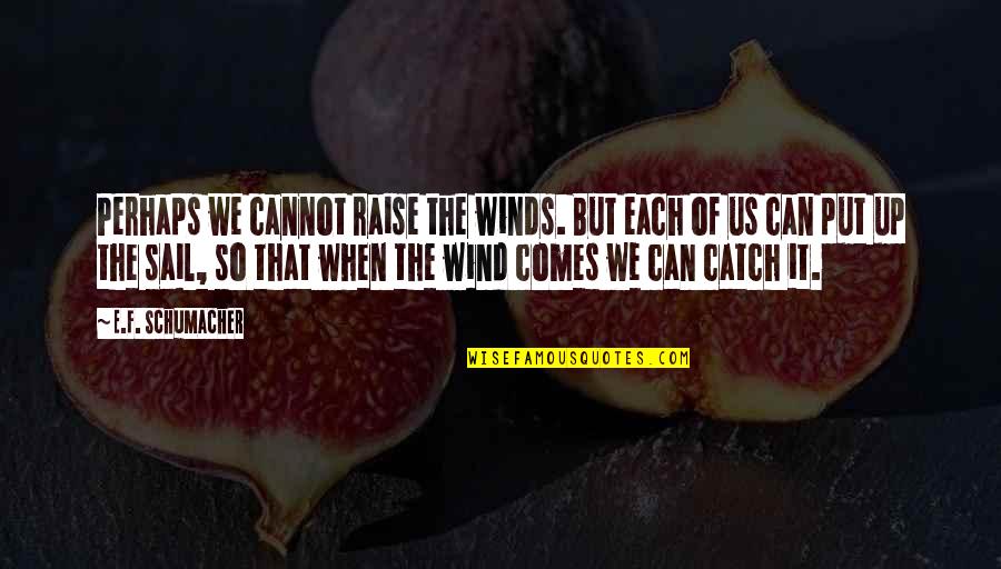 Cute Paisa Quotes By E.F. Schumacher: Perhaps we cannot raise the winds. But each