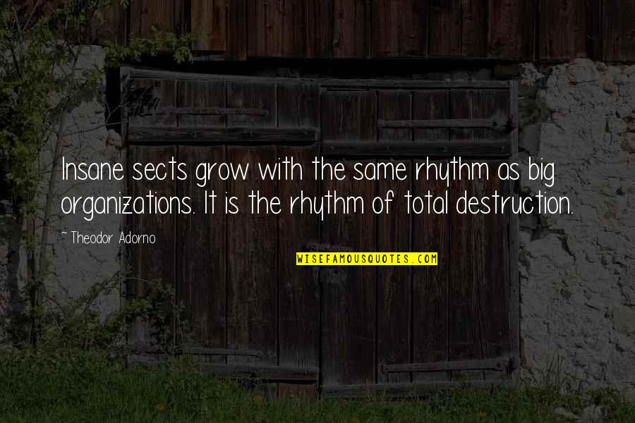 Cute Pic Quotes By Theodor Adorno: Insane sects grow with the same rhythm as