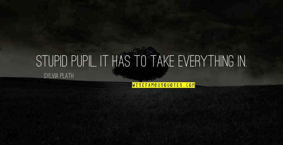 Cute Pixel Quotes By Sylvia Plath: Stupid pupil, it has to take everything in.