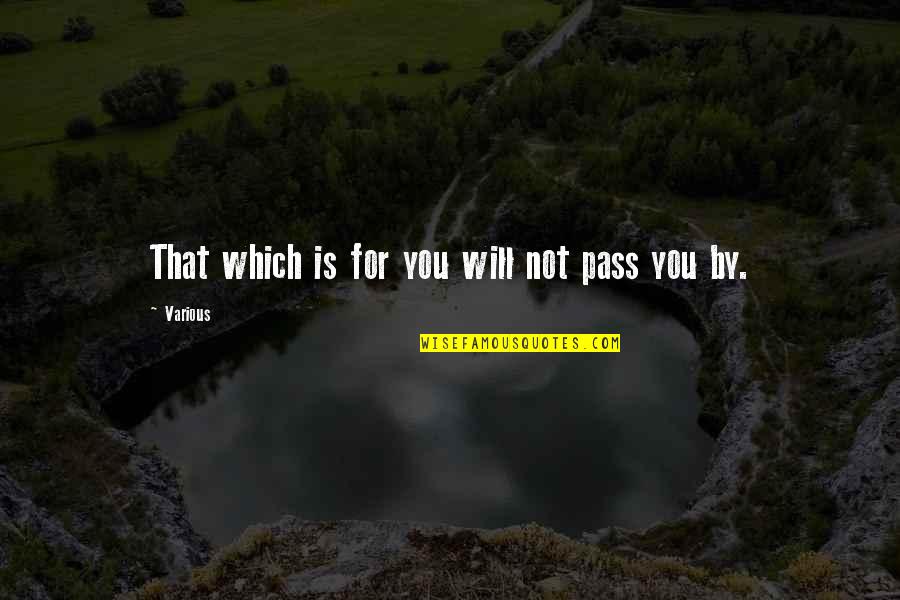 Cute Propose Day Quotes By Various: That which is for you will not pass