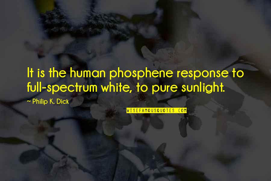 Cute Roommates Quotes By Philip K. Dick: It is the human phosphene response to full-spectrum