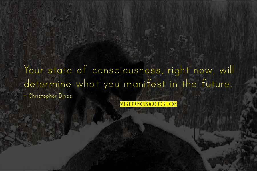 Cute Save The Earth Quotes By Christopher Dines: Your state of consciousness, right now, will determine