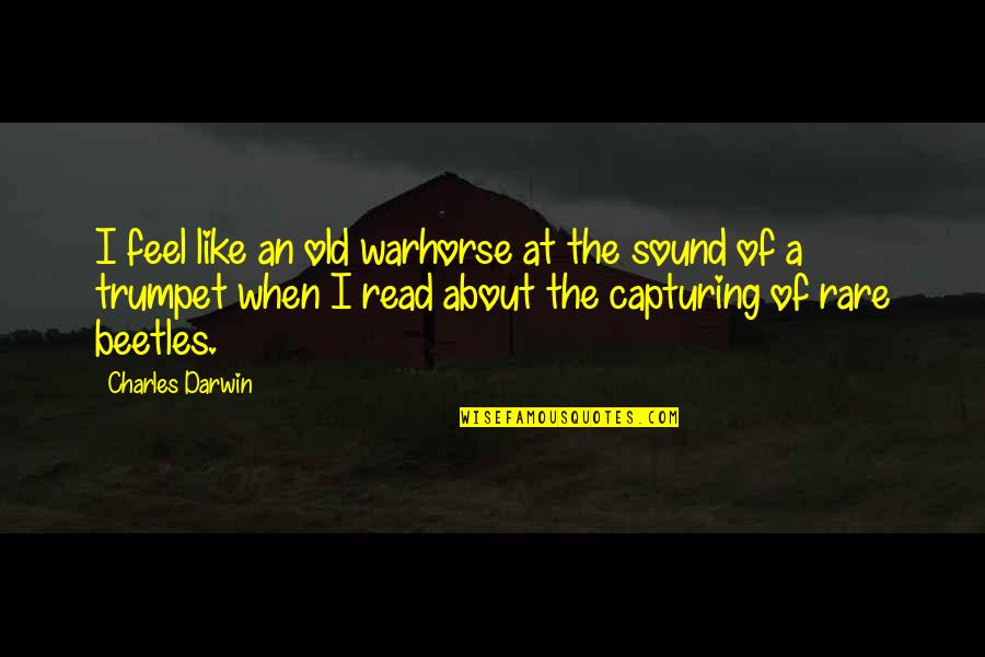 Cute Sleepover Quotes By Charles Darwin: I feel like an old warhorse at the