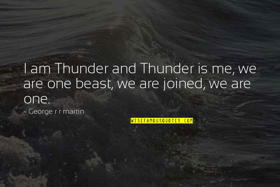 Cute Spider Quotes By George R R Martin: I am Thunder and Thunder is me, we