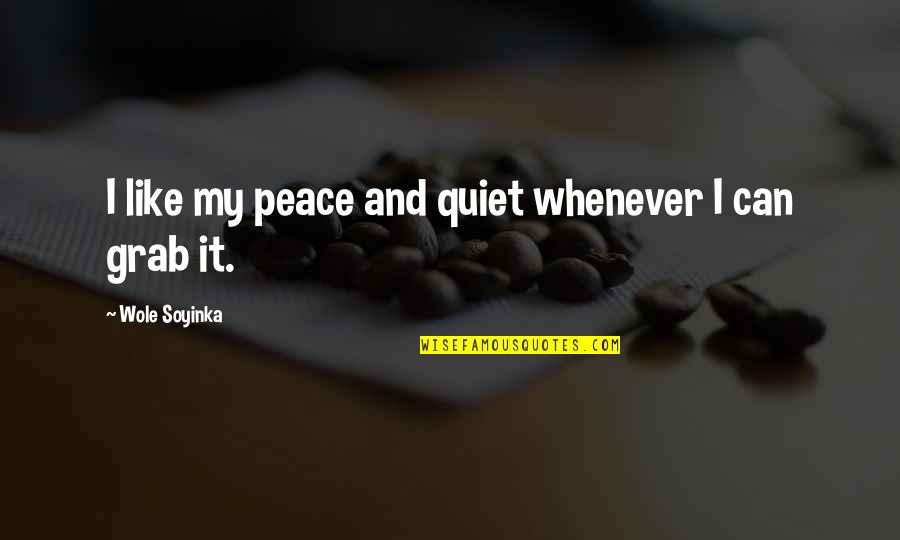 Cute Star Wars Love Quotes By Wole Soyinka: I like my peace and quiet whenever I
