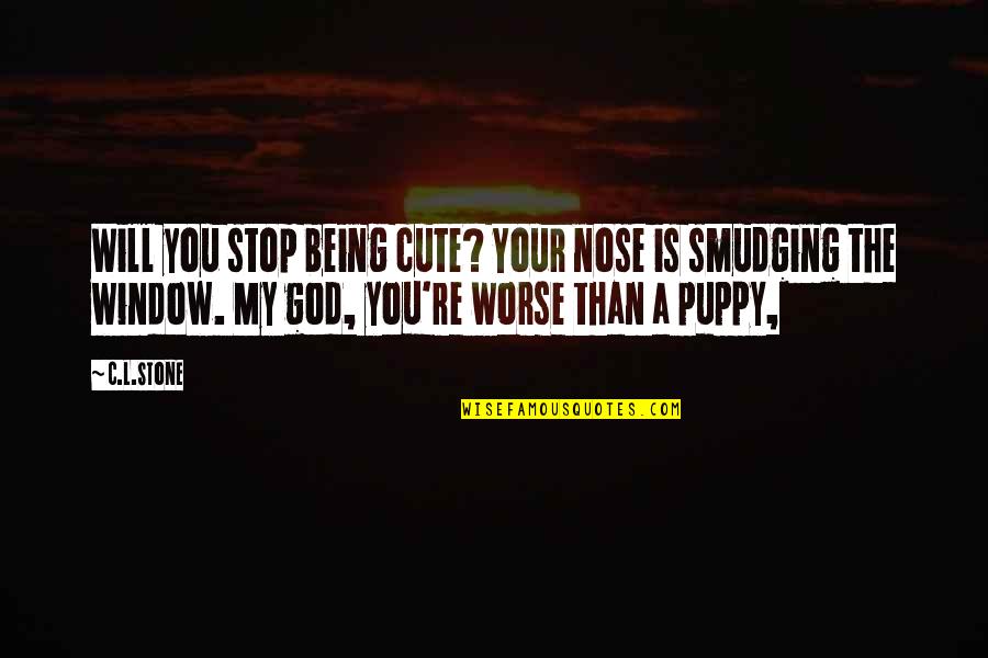 Cute Window Quotes By C.L.Stone: Will you stop being cute? Your nose is