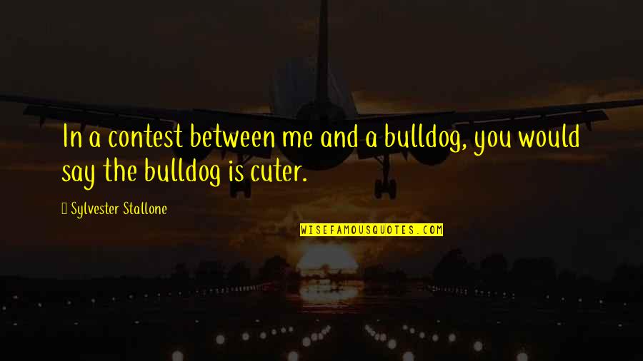 Cuter Than You Quotes By Sylvester Stallone: In a contest between me and a bulldog,