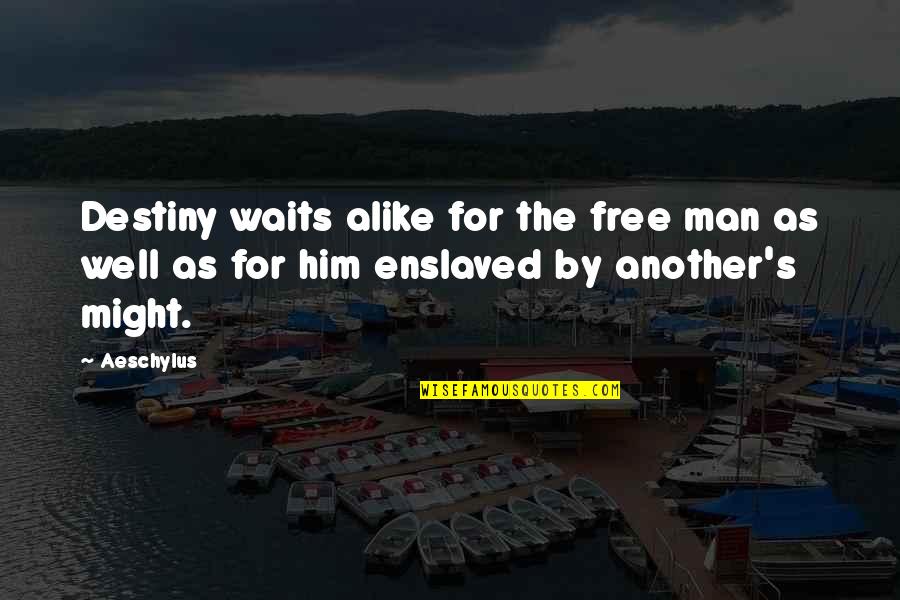 Cutest Animals Quotes By Aeschylus: Destiny waits alike for the free man as