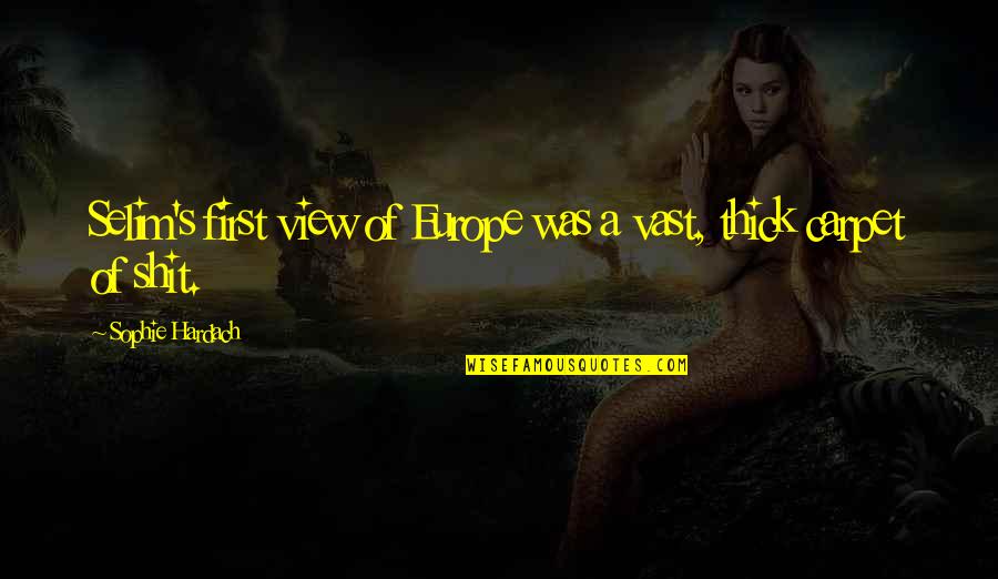 Cutest Kitten Quotes By Sophie Hardach: Selim's first view of Europe was a vast, Cutest Kitten Quotes By Sophie Hardach: Selim's first view of Europe was a vast,