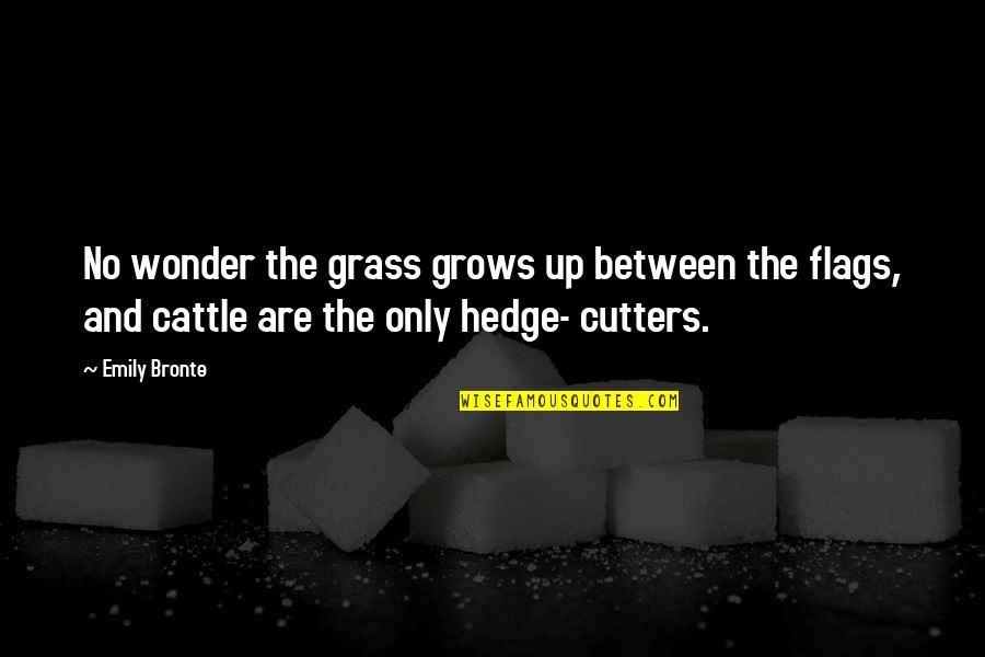 Cutters Quotes By Emily Bronte: No wonder the grass grows up between the