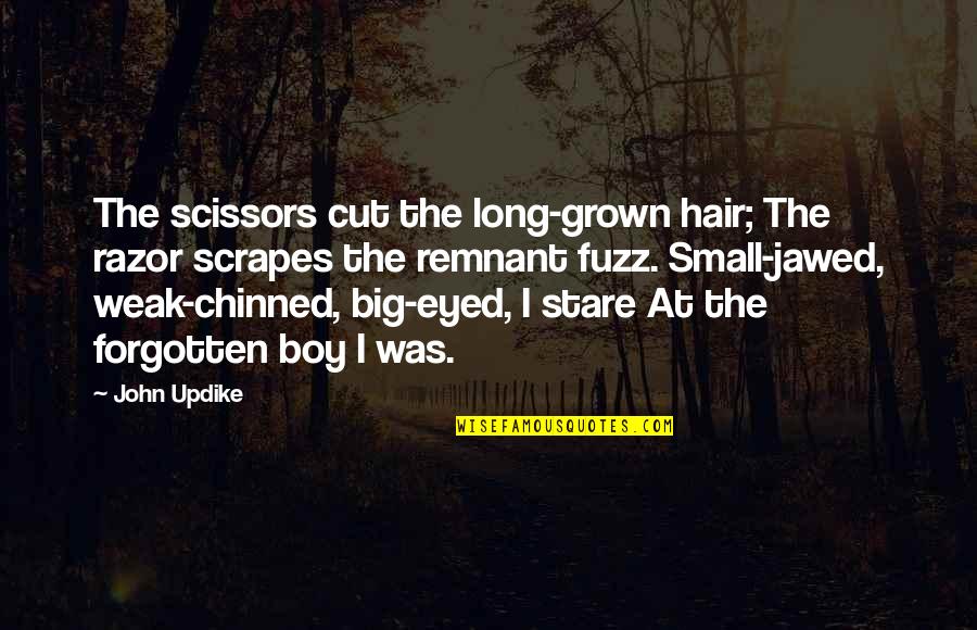 Cutting Hair Quotes By John Updike: The scissors cut the long-grown hair; The razor