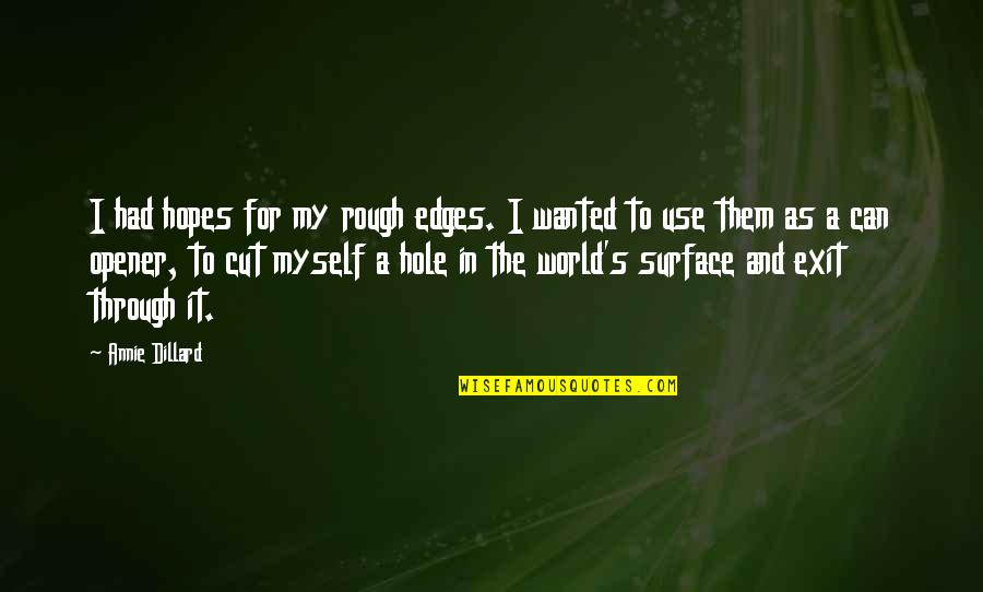 Cutting Myself Quotes By Annie Dillard: I had hopes for my rough edges. I