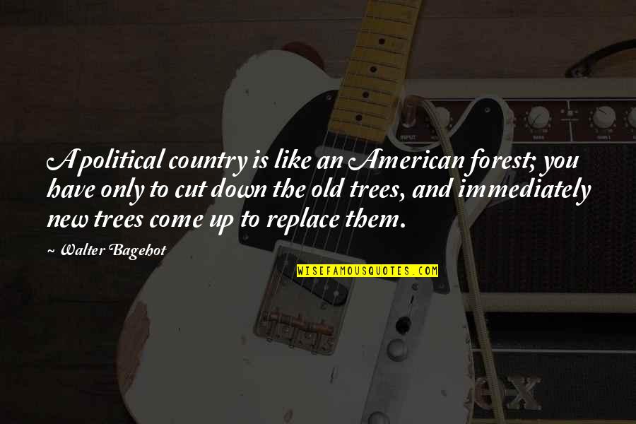 Cutting Trees Quotes By Walter Bagehot: A political country is like an American forest;