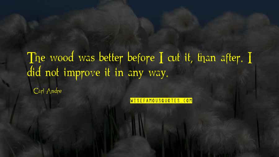 Cutting Wood Quotes By Carl Andre: The wood was better before I cut it,