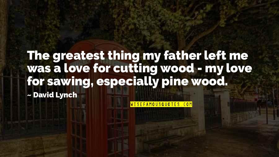 Cutting Wood Quotes By David Lynch: The greatest thing my father left me was