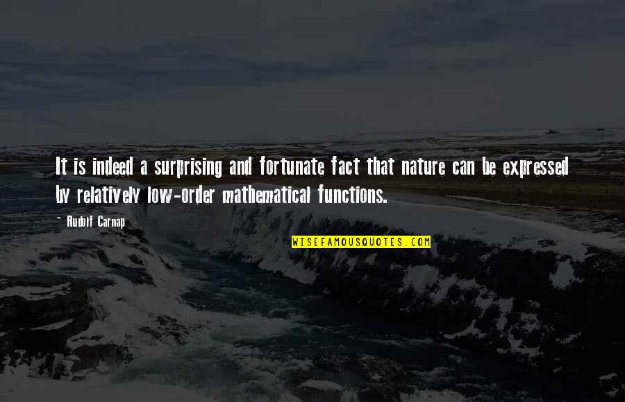 Cutting Your Arm Quotes By Rudolf Carnap: It is indeed a surprising and fortunate fact
