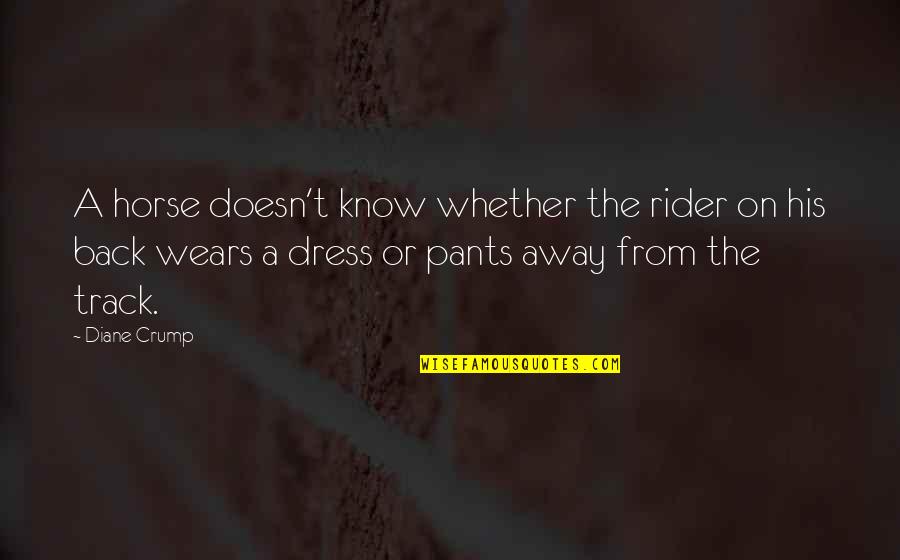 Cuyugan Vs Baron Quotes By Diane Crump: A horse doesn't know whether the rider on Cuyugan Vs Baron Quotes By Diane Crump: A horse doesn't know whether the rider on
