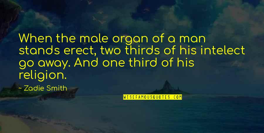 Cv With Quotes By Zadie Smith: When the male organ of a man stands