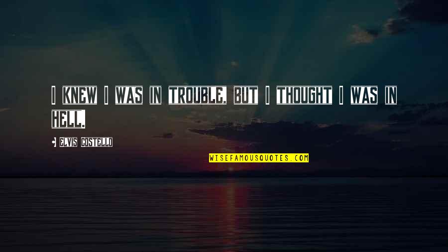 Cvetkovic Petar Quotes By Elvis Costello: I knew I was in trouble, but I Cvetkovic Petar Quotes By Elvis Costello: I knew I was in trouble, but I