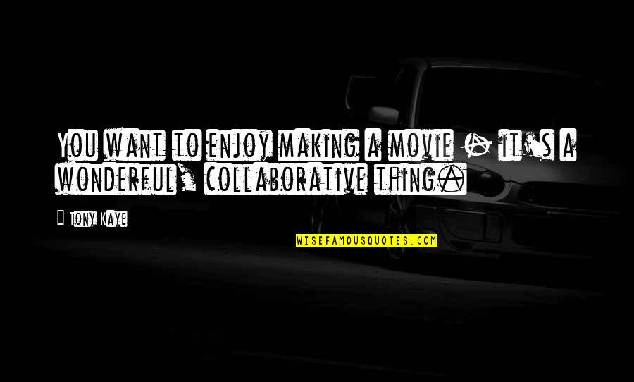 Cxlviii Quotes By Tony Kaye: You want to enjoy making a movie -