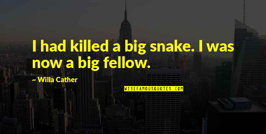Cxworx Quotes By Willa Cather: I had killed a big snake. I was