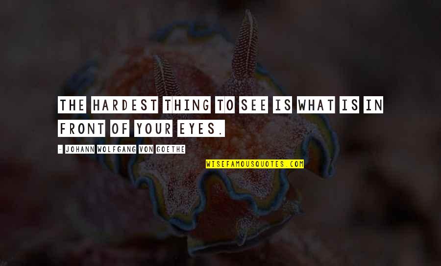 Cyber Security Is Everyones Responsibility Quotes By Johann Wolfgang Von Goethe: The hardest thing to see is what is